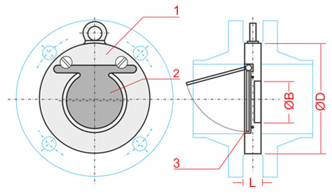 drawing ball check valves