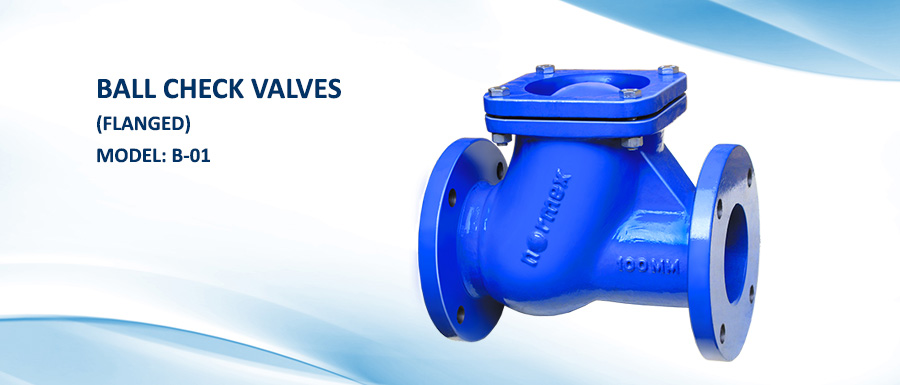 Ball Type Check Valves